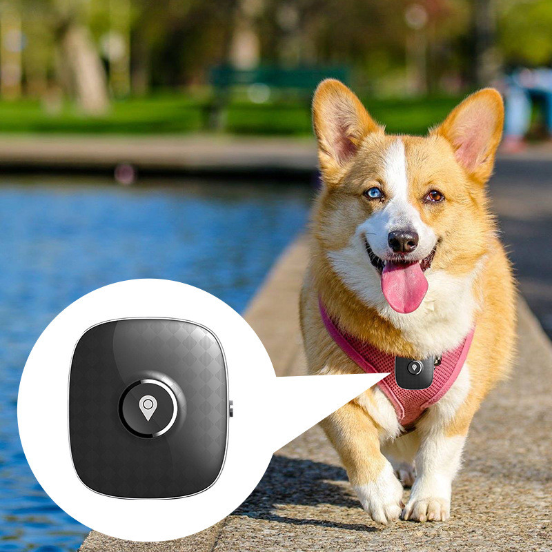 4G-Dog-GPS-Tracker-Waterproof-Pet-Cat-Anti-Lost-Location-Tracking-Mini-Smart-Collar-GPS-Device.jpg